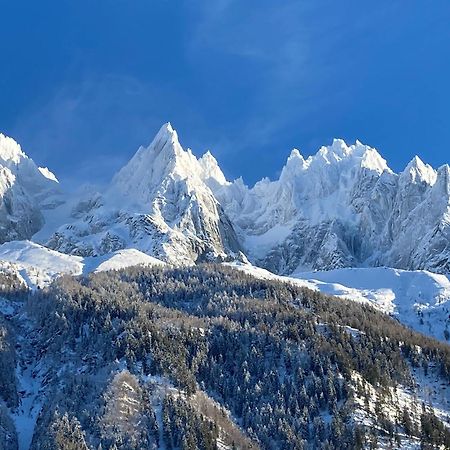 Chamonix Superbe Appartement Vue Mont Blanc Exteriör bild