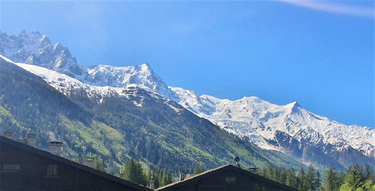 Chamonix Superbe Appartement Vue Mont Blanc Exteriör bild