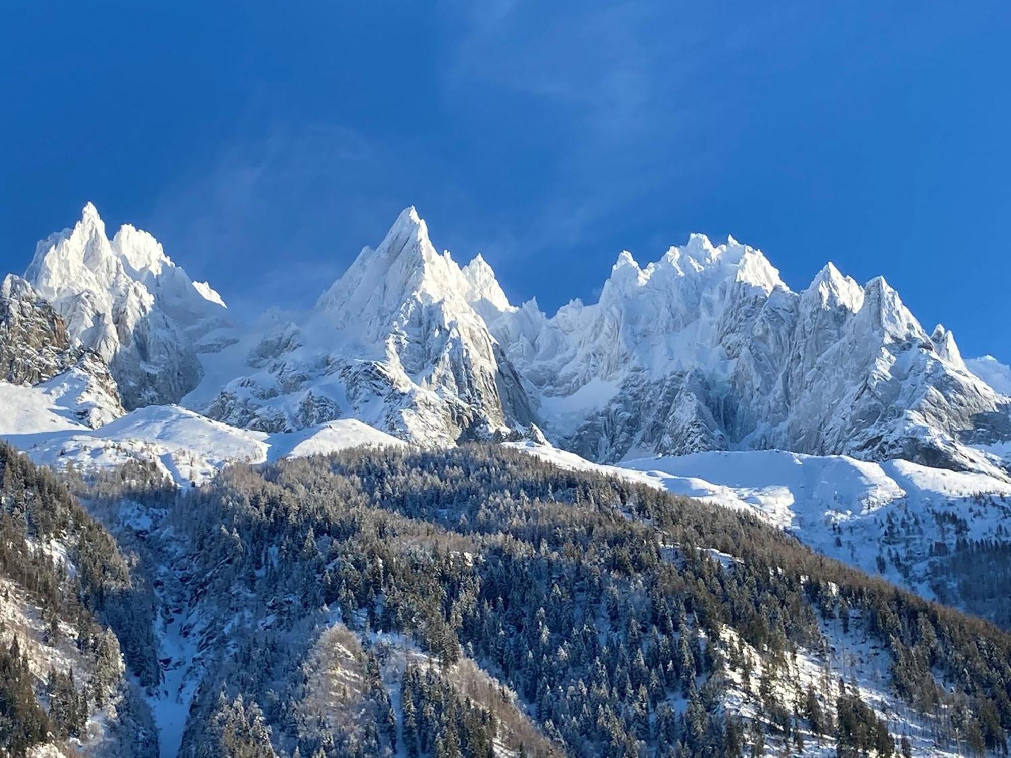 Chamonix Superbe Appartement Vue Mont Blanc Exteriör bild